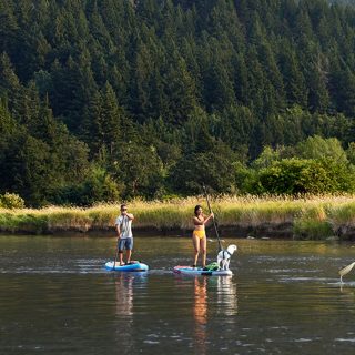 一群好友在玩桨板冲浪