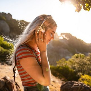 Bose 700 无线消噪耳机 银色