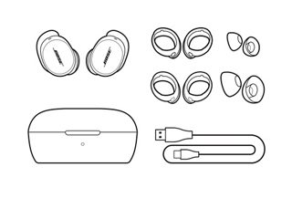 2 只 Bose QuietComfort 消噪耳塞。充电盒、USB-C 连接线、适耳套装（小号、中号、大号耳塞头和稳固环）